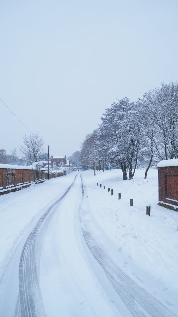 Bidbury Lane in the snow, Хавант