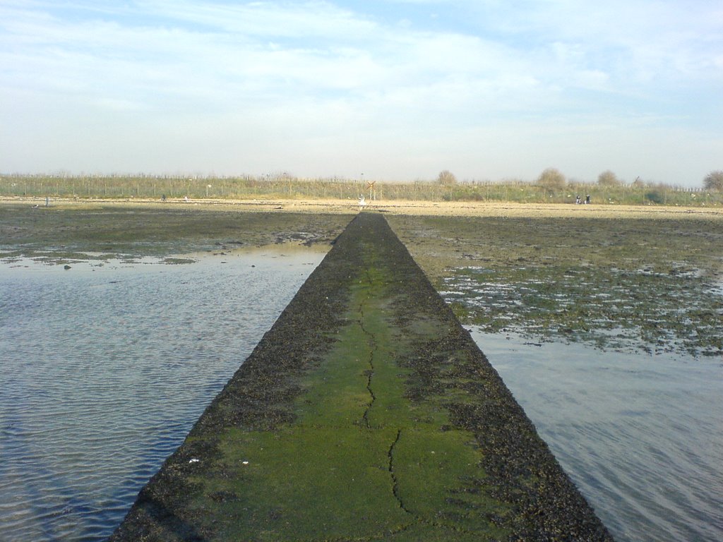 the disused sewage outlet langstone [apparently disused :S ], Хавант