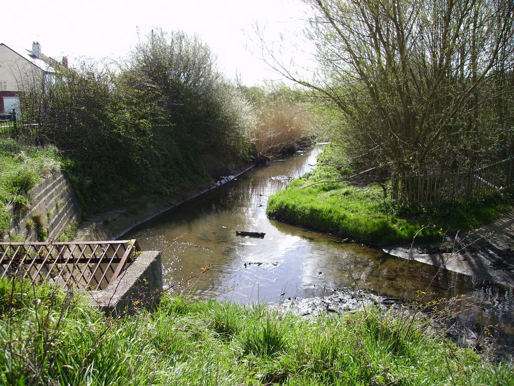 manky river between middle park way and botley drive, Хавант