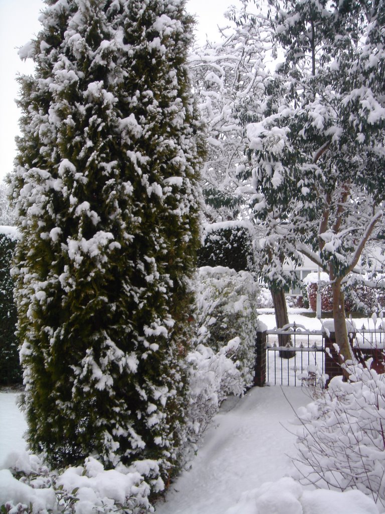 Winter in Hazel Grove, Хазел-Гров