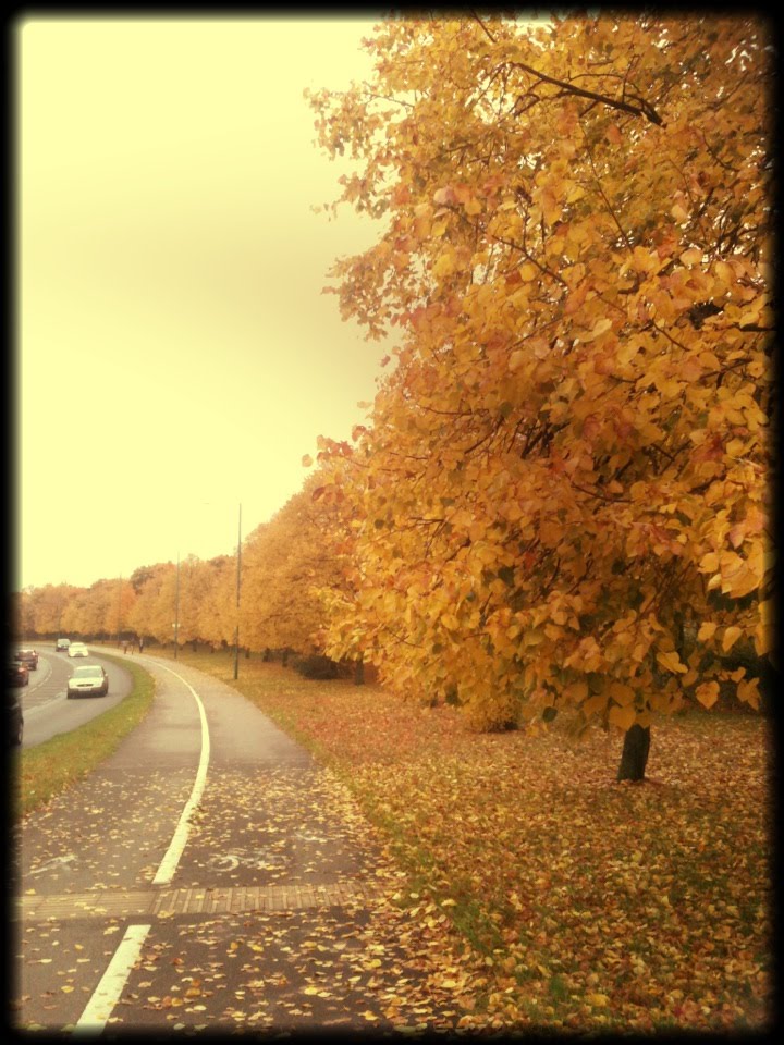 Autumn, Харлоу