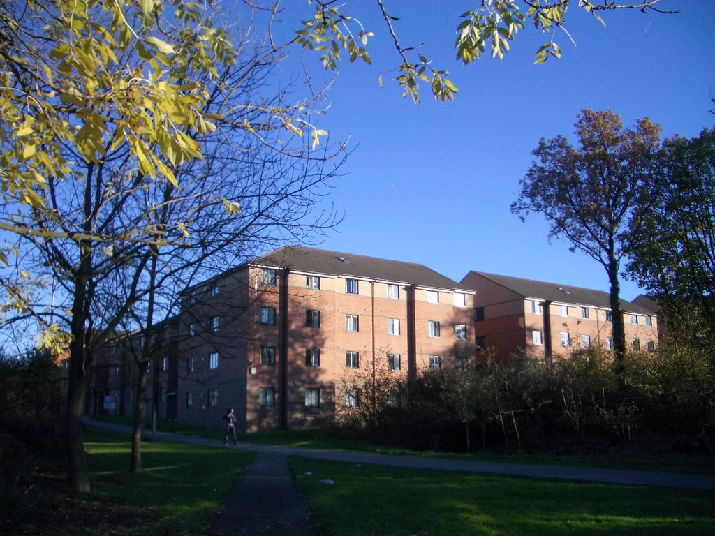 Telford Court in college lane campus University of Hertfordshire, Хатфилд
