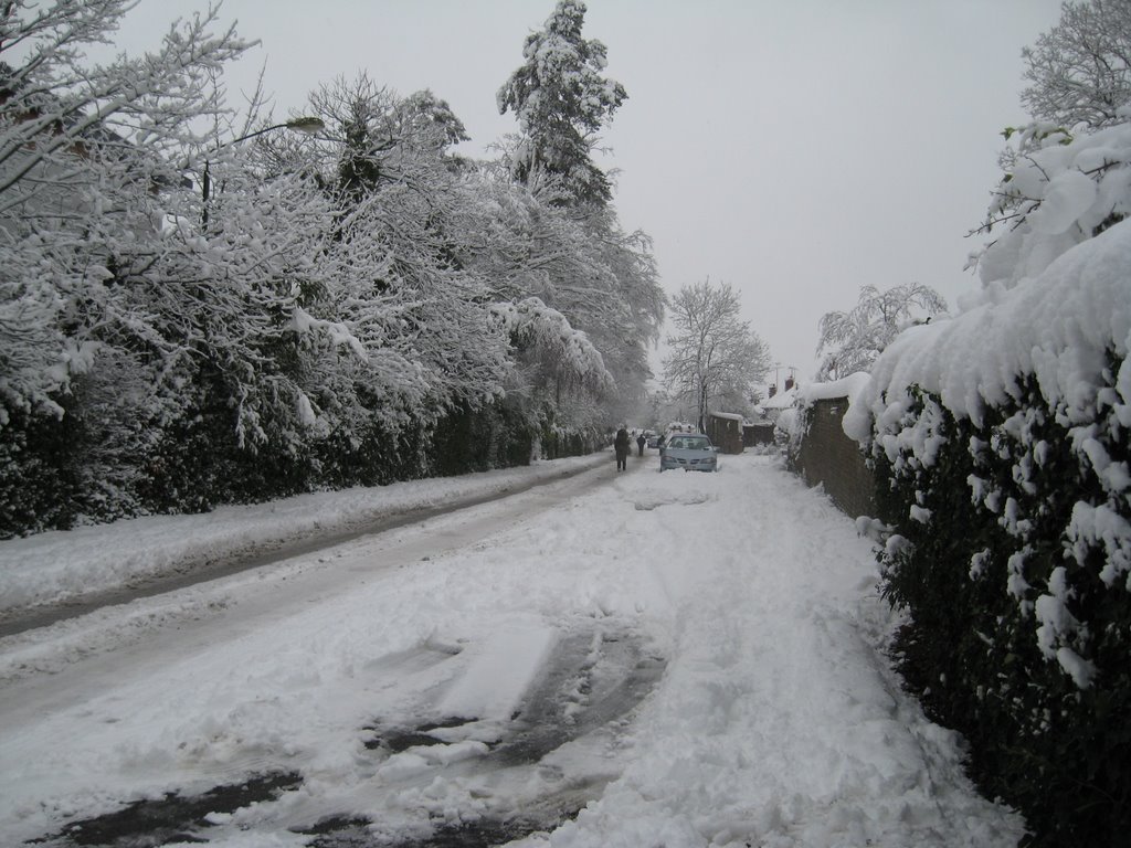 Colwell Rd during January snow 2010, Хейвардс-Хит