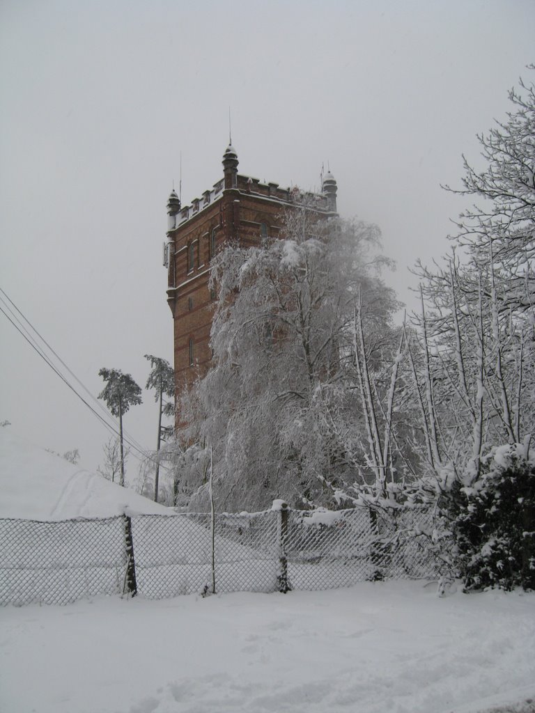 St Francis water tower January 2010, Хейвардс-Хит