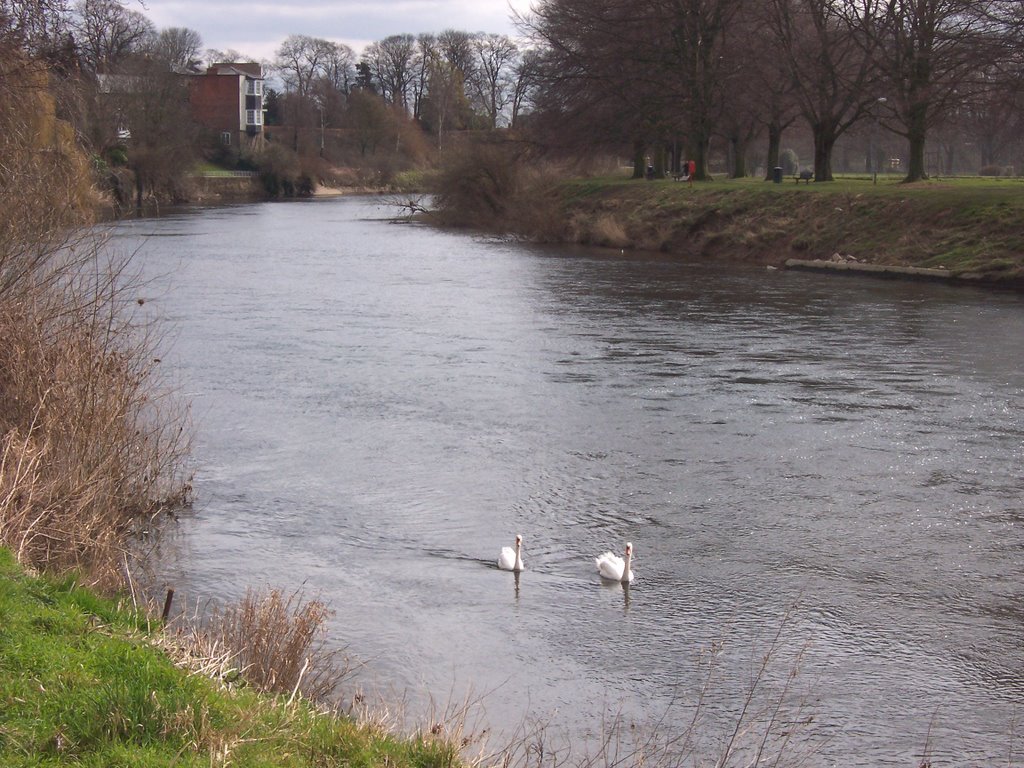 River Wye at Hereford, Херефорд