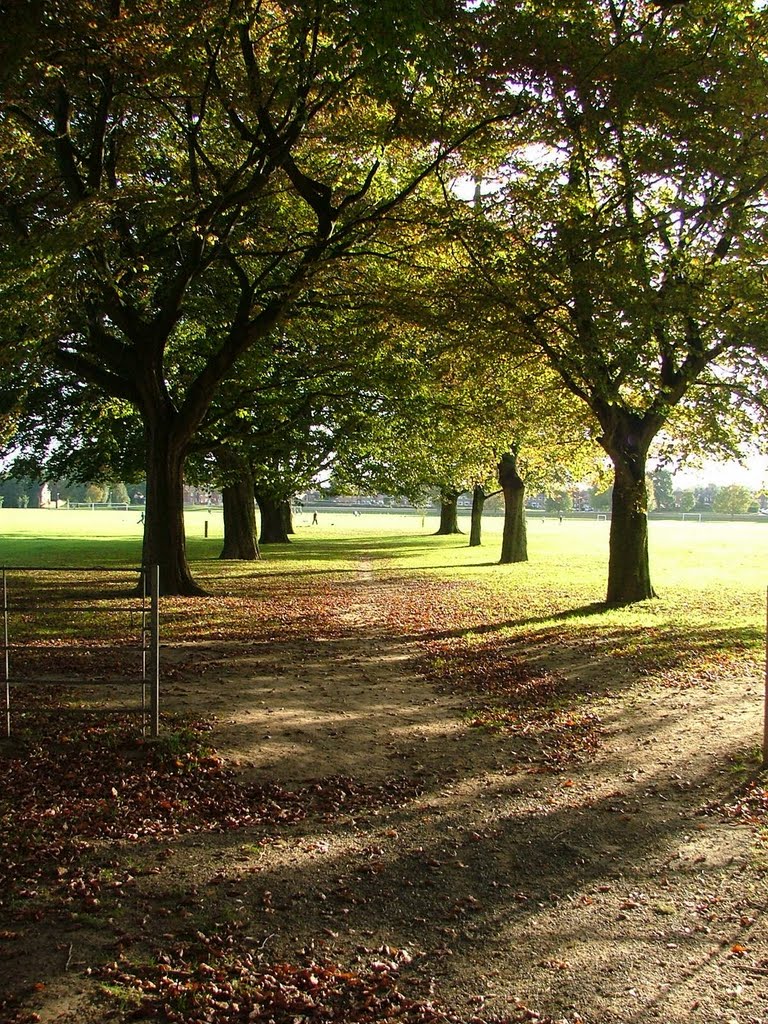 Walk by hereford park, Херефорд