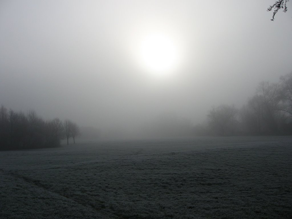 Field in Winter, Херефорд