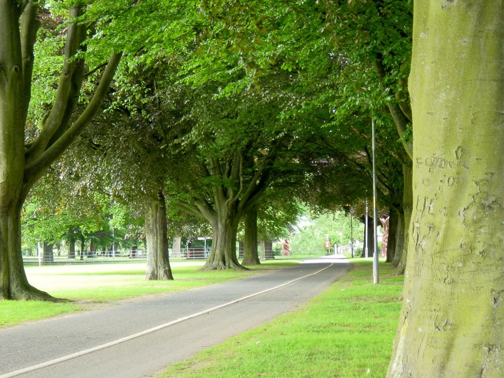Hereford; park near victoria bridge, Херефорд
