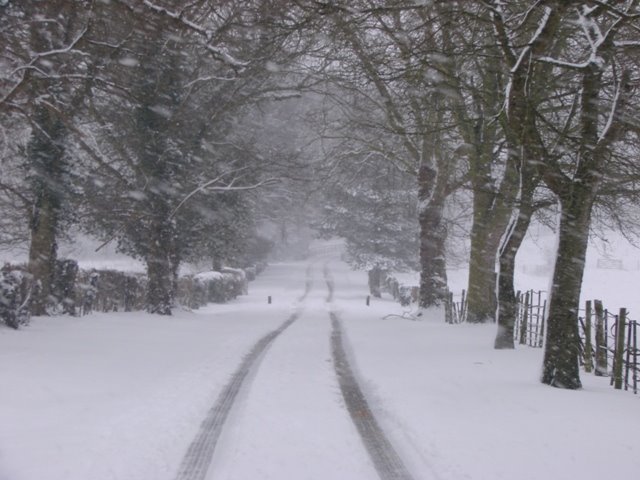 School in snow 2, Хертфорд
