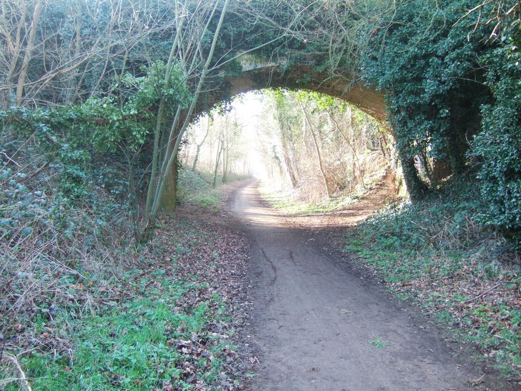 Cycle route 61, Near Hertford, Хертфорд