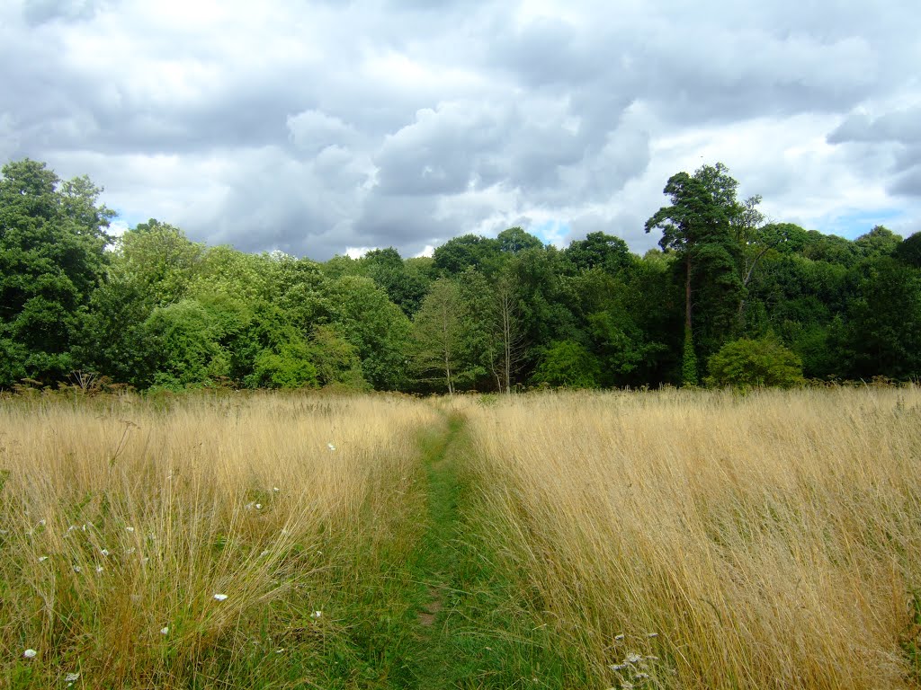 A Footpath through Summer Field, Ware Park, Хертфорд