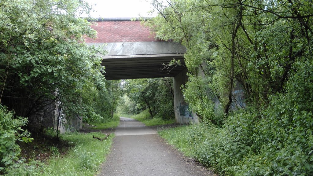 Lkn NW on the former Whelley Loop Line at the Makerfiied Way Road Bridge, Хиндли