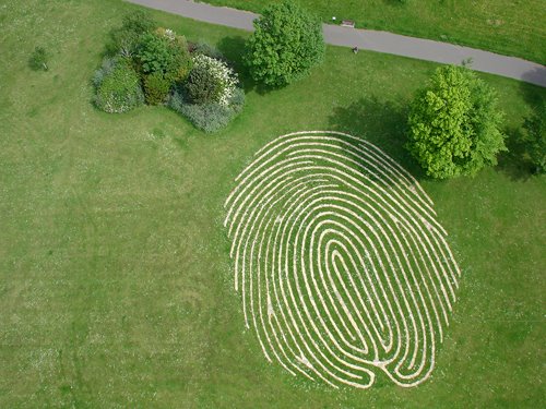Hove Park Fingerprint Maze, Хоув