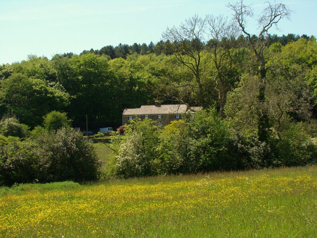Woodseats Farm and spring flowering meadow with Greno Woods behind, Sheffield S35, Чапелтаун