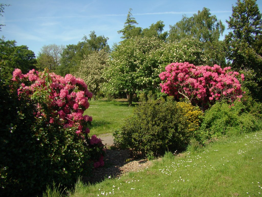 Mortomley Park in spring, High Green, Sheffield S35, Чапелтаун