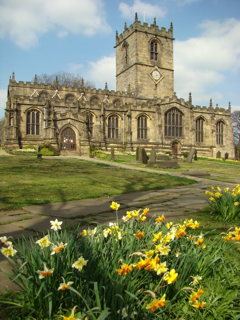 St. Marys church and Daffodils, Ecclesfield, Sheffield S35, Чапелтаун