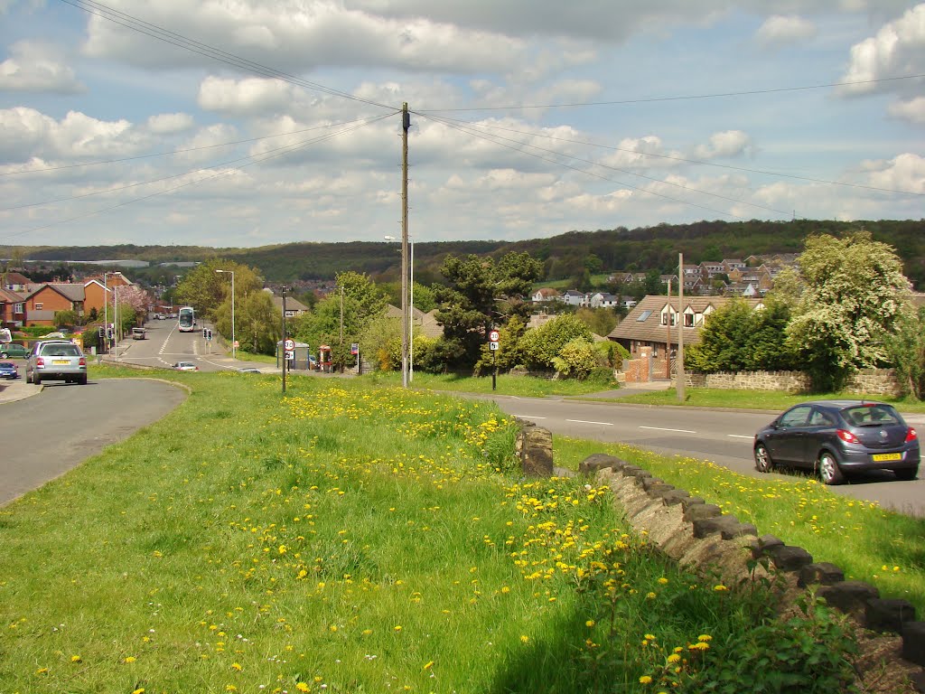 Ecclesfield Road scene seperated by grass verge looking towards Chapeltown, Sheffield S35, Чапелтаун