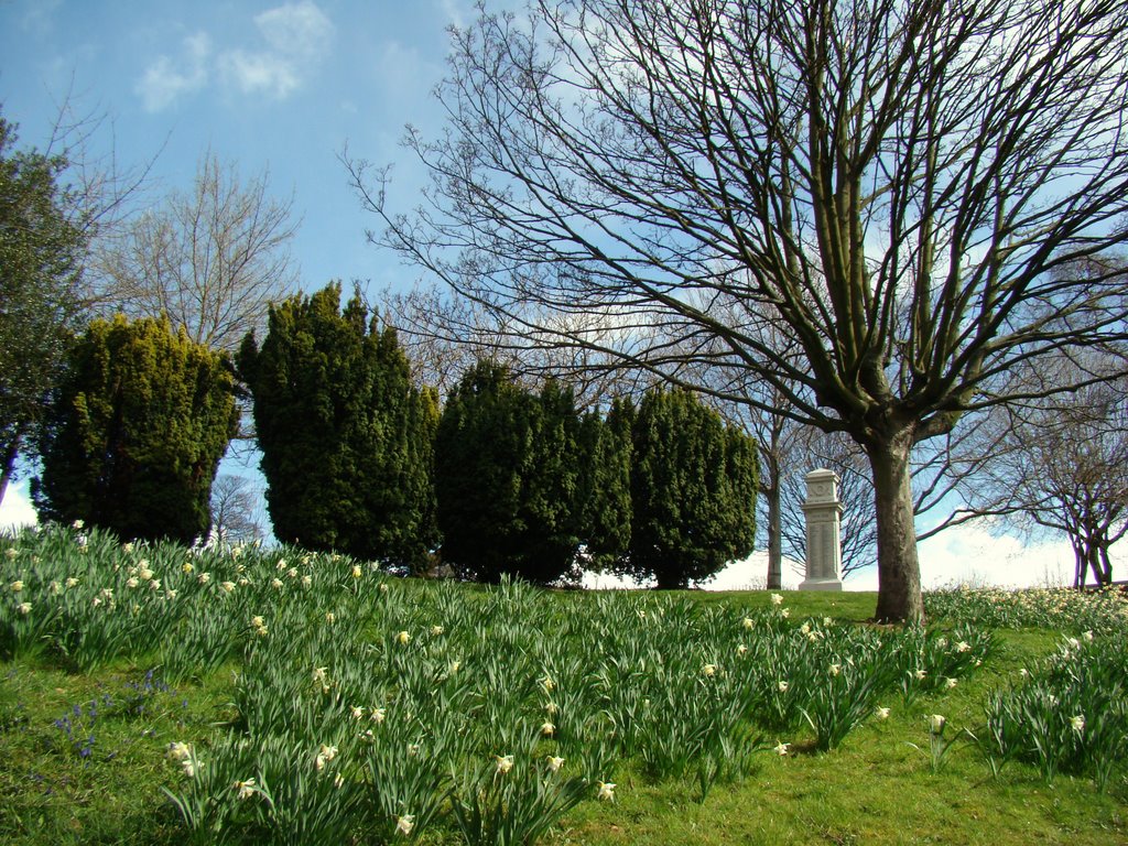War Memorial and Daffodils 3, Chapeltown Park, Sheffield S35, Чапелтаун