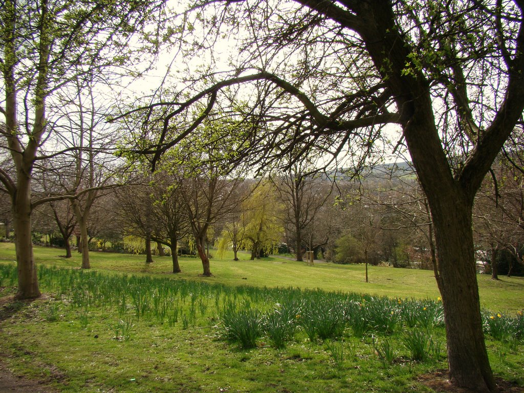 Chapeltown Park in early spring, Sheffield S35, Чапелтаун