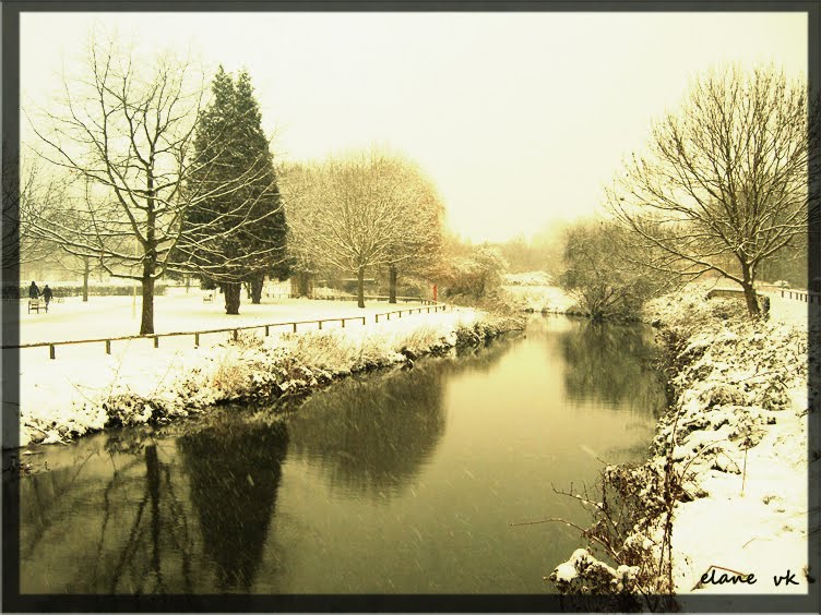 Snowy Essex, Челмсфорд