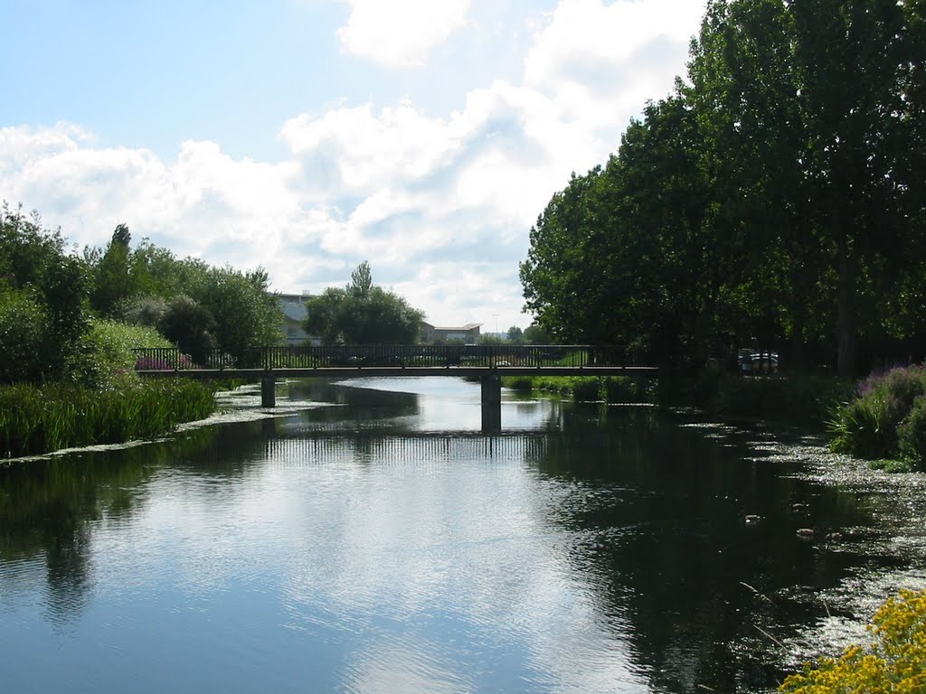 A narrow bridge, Челмсфорд