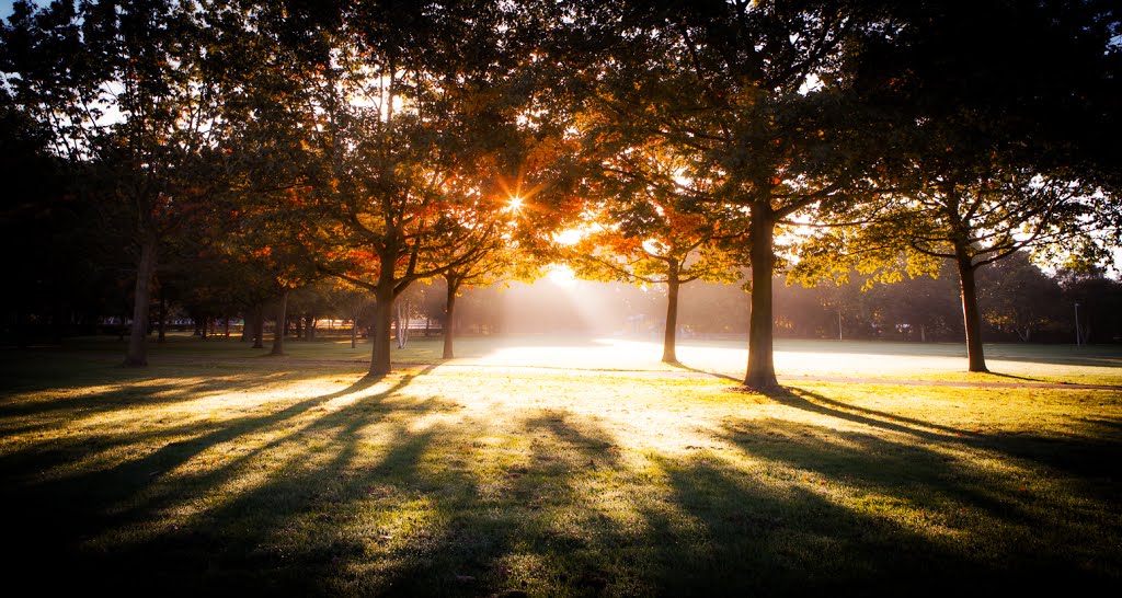 Autumnal Mist - Chelmsford City, Челмсфорд
