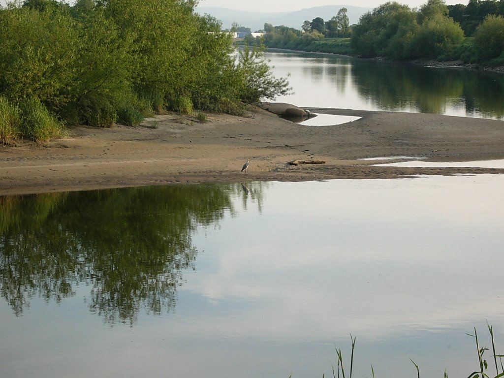 River Dee, Честер