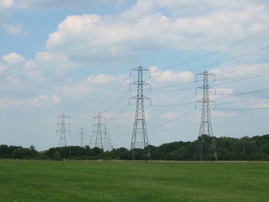 Pylons at Waltham Marsh, Чешант