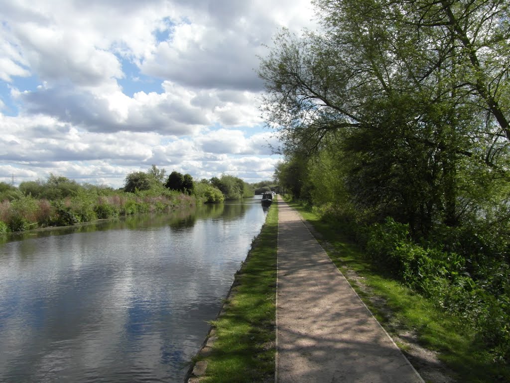 Path by the canal, Чешант