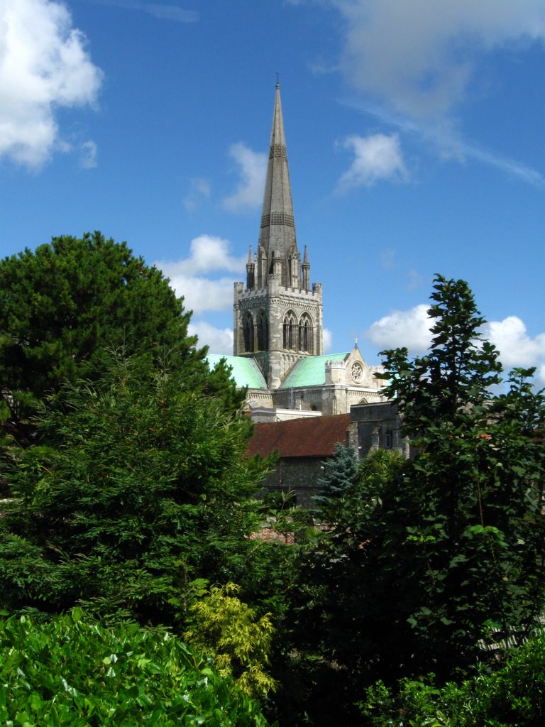 Chichester Cathedral from the Bishops gardens, Чичестер