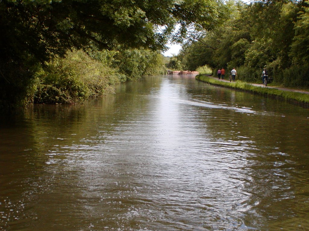 Chichester canal (Spoil site-02), Чичестер