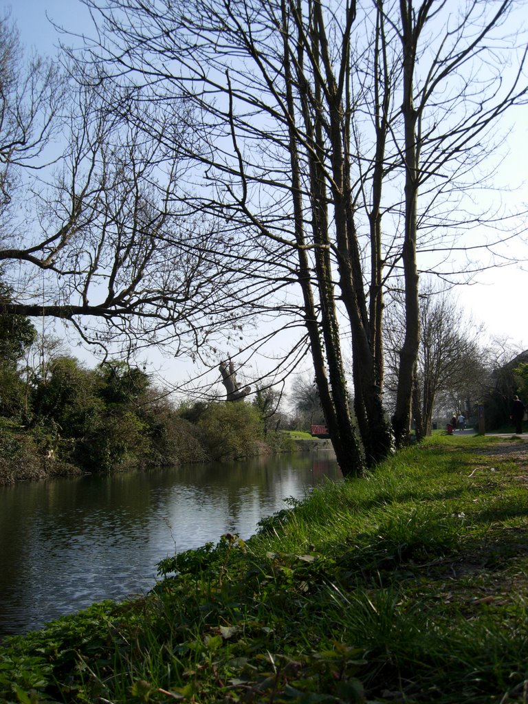 Chichester-Canal, Чичестер