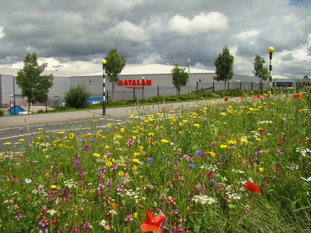 Looking towards Parkway Retail Park and Cricket Inn Road from a wild flower meadow, Wybourn, Sheffield S2, Шеффилд