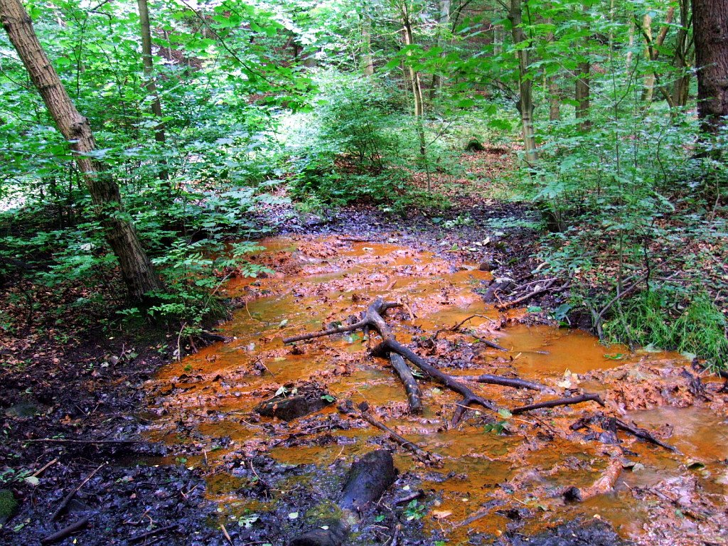 Red Beck, Heaton Woods (natural ironstone stained spring), Шипли
