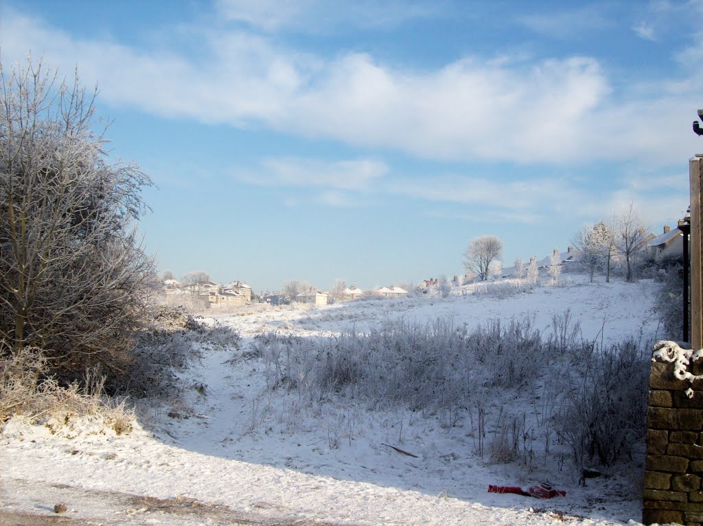 Winter Solstice In Baildon, Шипли