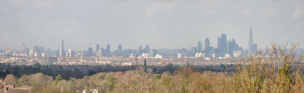 A London skyline, Эпсом
