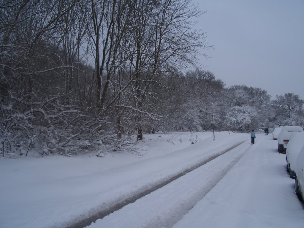 Woodcote Side Winter 2009, Эпсом