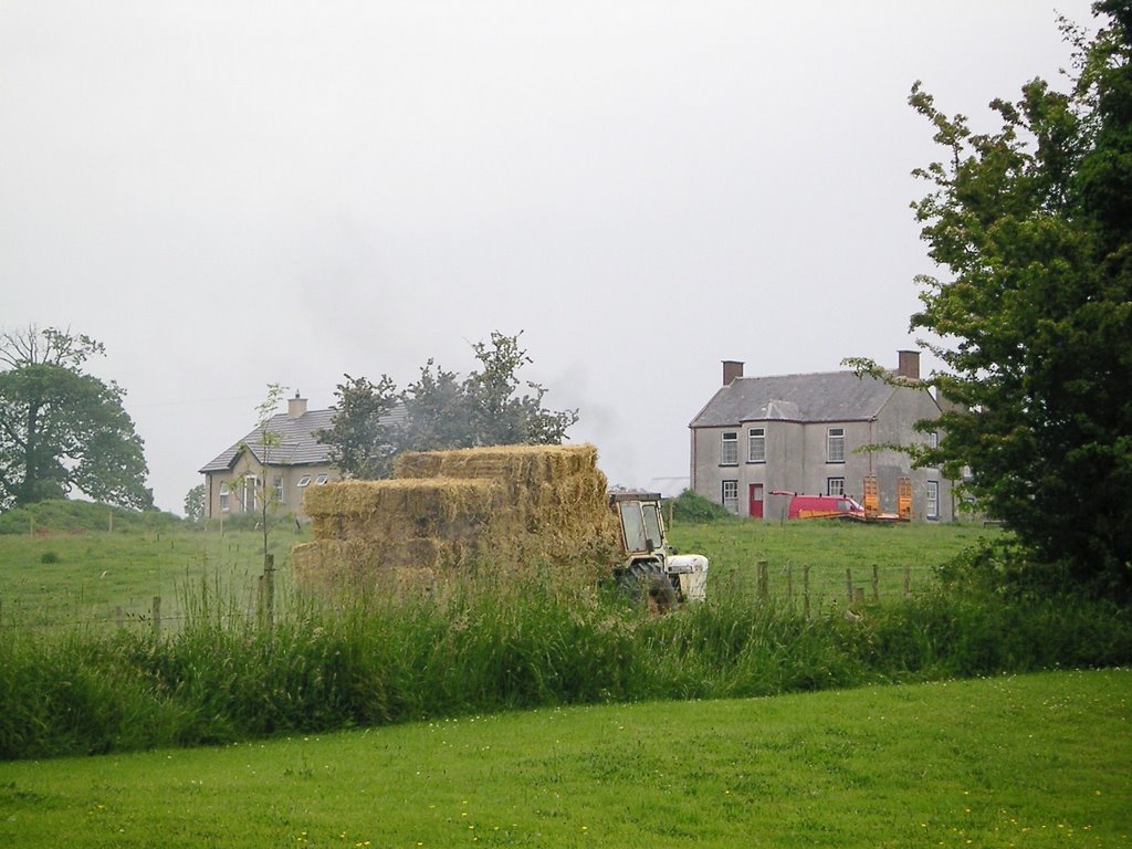 haymaking, ballyclog, Колерайн