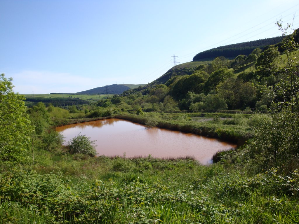 Orange pond. Tonmawr. Part of the Pelenna minewater treatment system., Порт Талбот