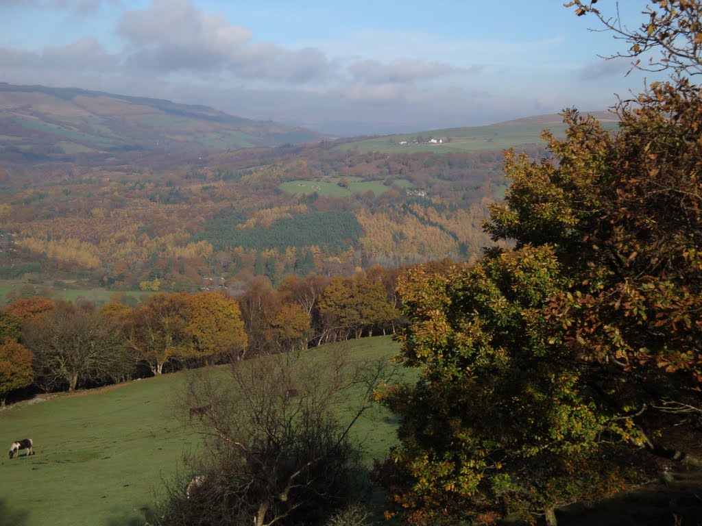 Autumn in the South Wales Hills above Tonna, Порт Талбот