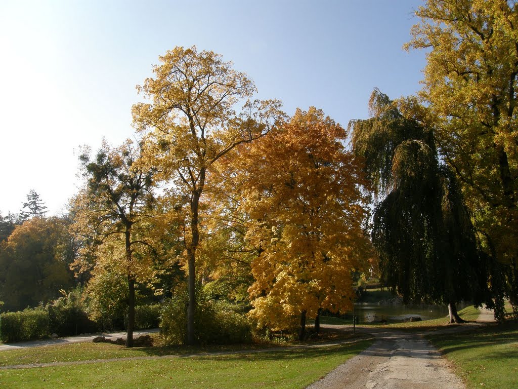 Őszi park - Kismarton, Айзенштадт