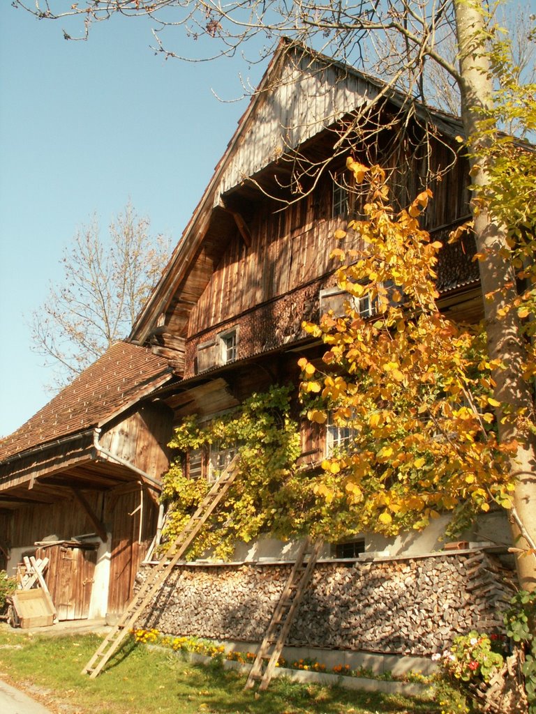 Rheintalhaus am Bürgle, Дорнбирн