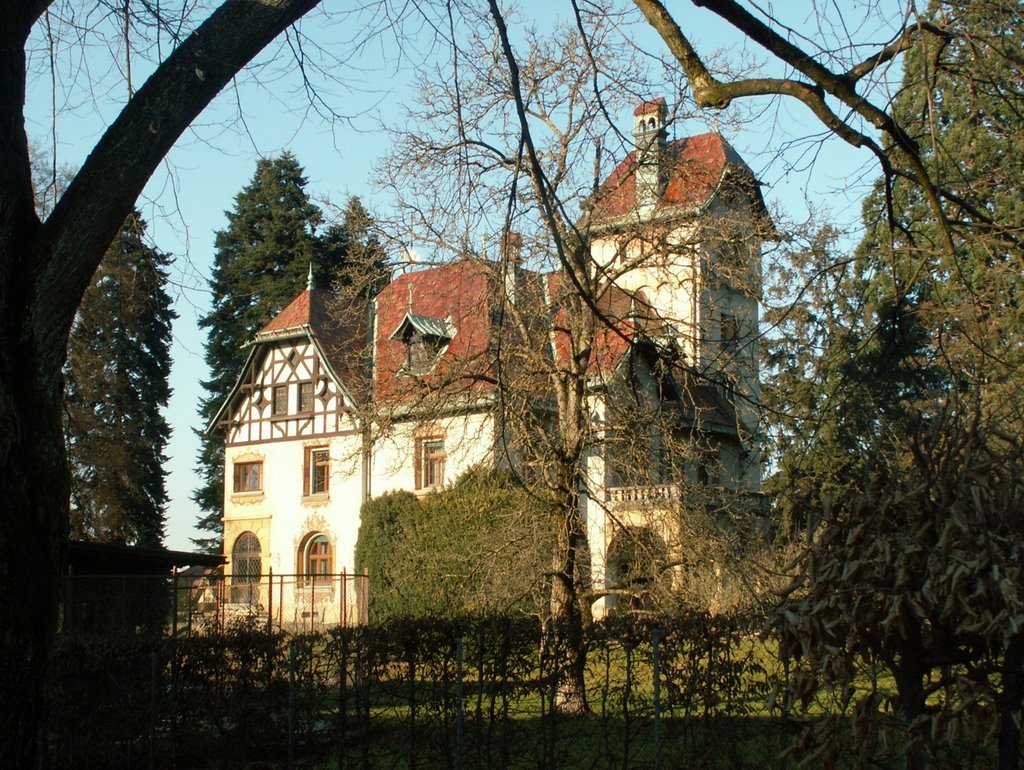 Villa im Oberdorf, Дорнбирн