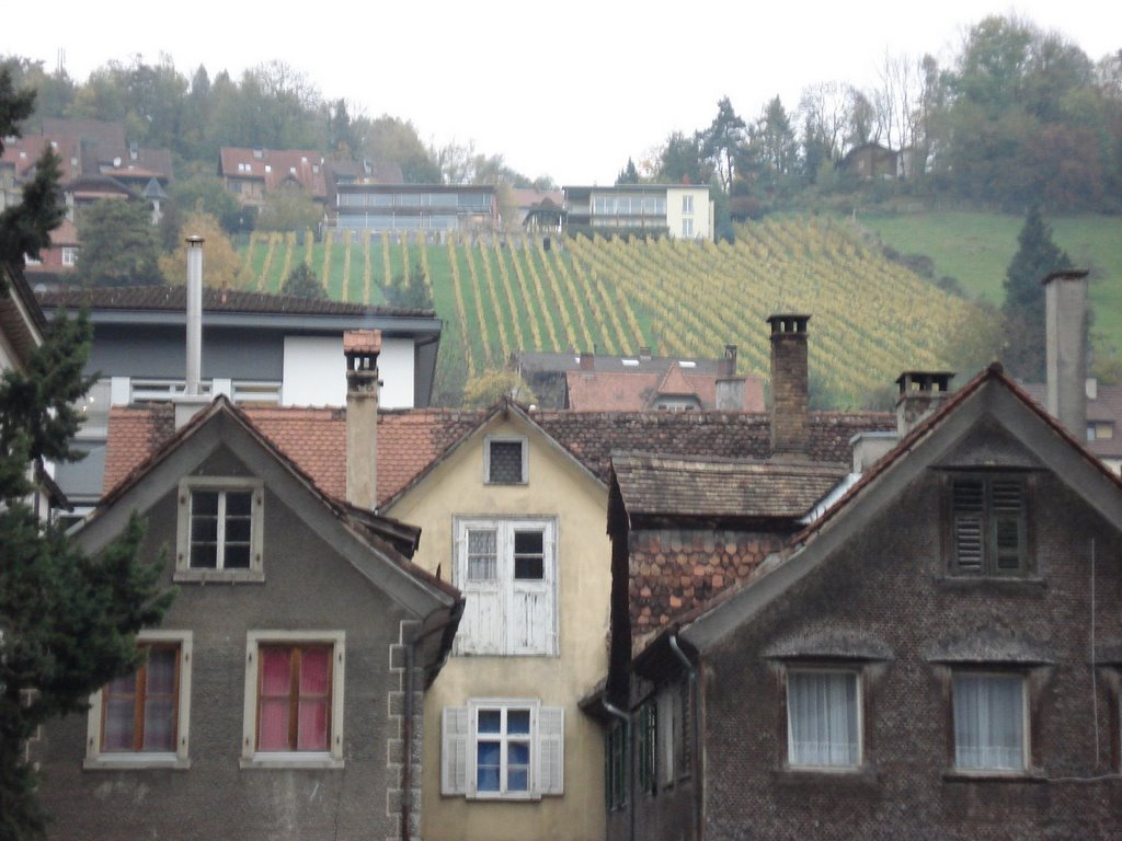 Häuser in Feldkirch, Österreich, Фельдкирх