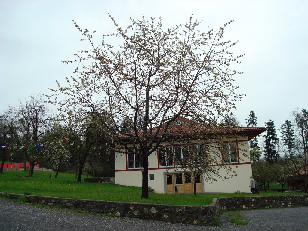 Buddistisches Zentrum auf der Letze (2. Wohnbereich mit Baum davor), Фельдкирх