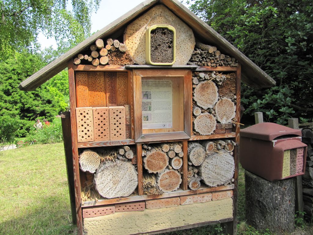 Insektenhaus, Линц