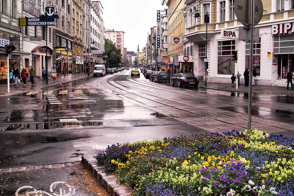 Linz after the rain, Линц