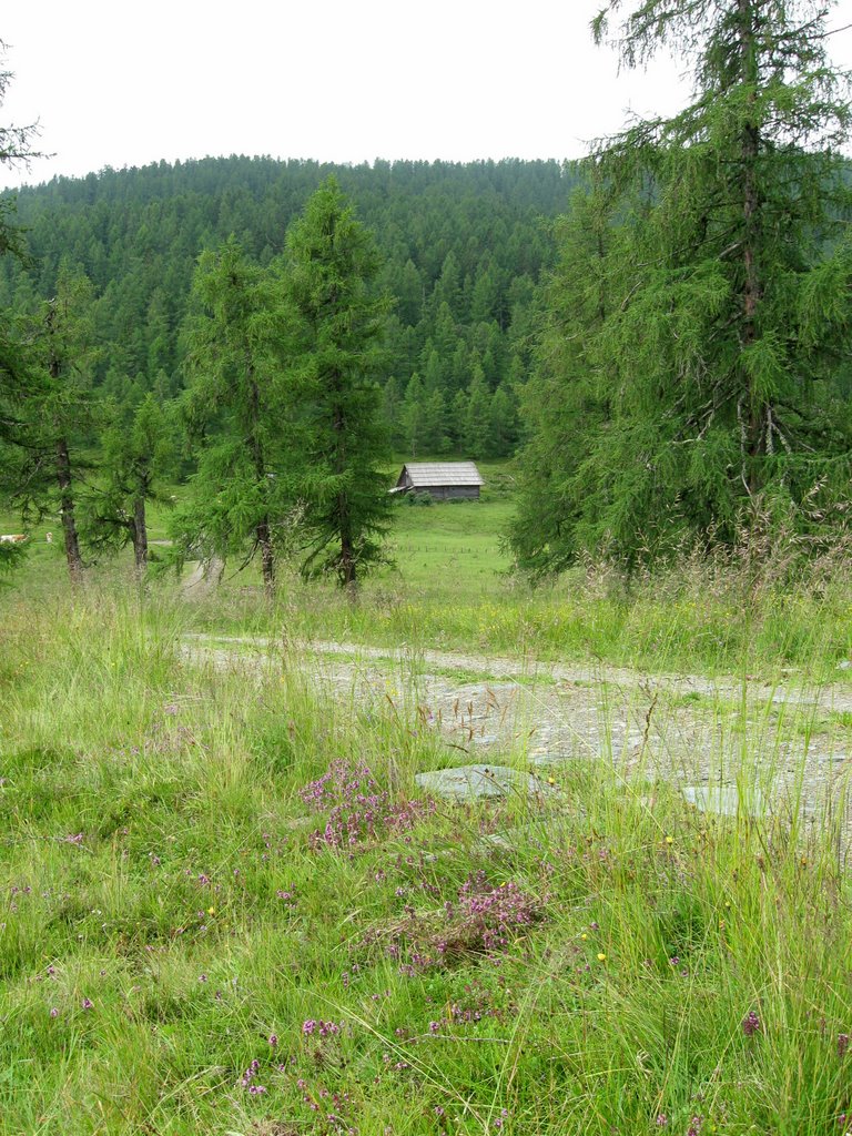Wald- und Wiesenweg auf der Hochrindl, Виллач