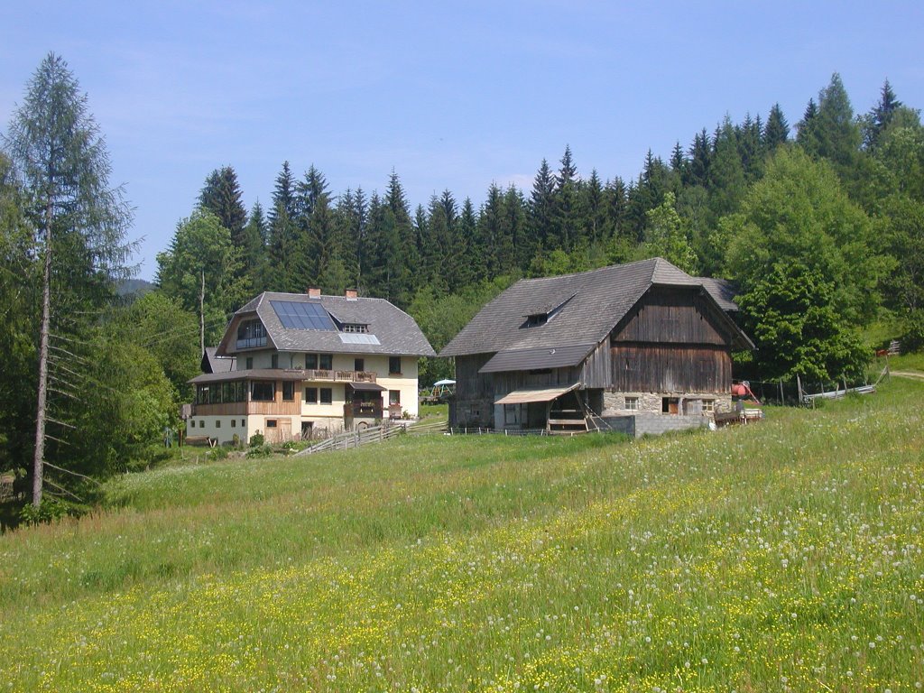 Steinacherhof und Buschenschenke, Виллач