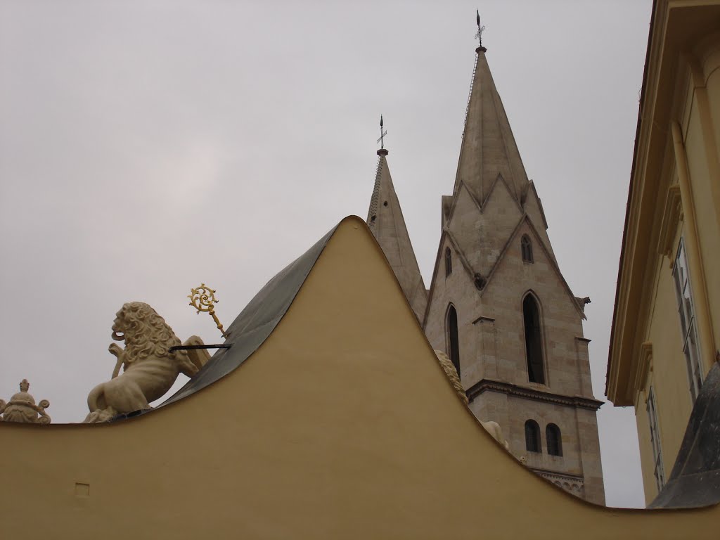 Die Domkirche in Wiener Neustadt, Венер-Нойштадт